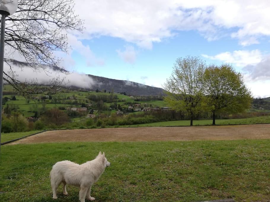 Logement Standing Wifi Vercors 'In Saint-Jean-en-Royans Exterior photo